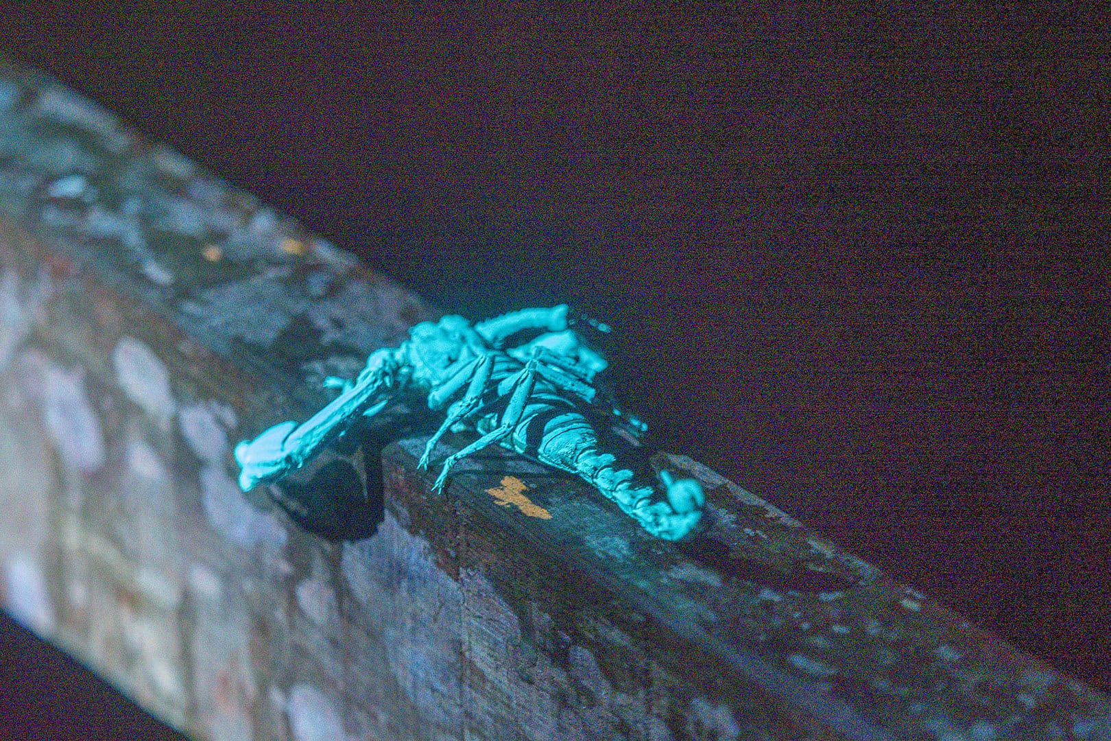 Fluorescerende schorpioen Mulu Fluorescerende schorpioen Mulu