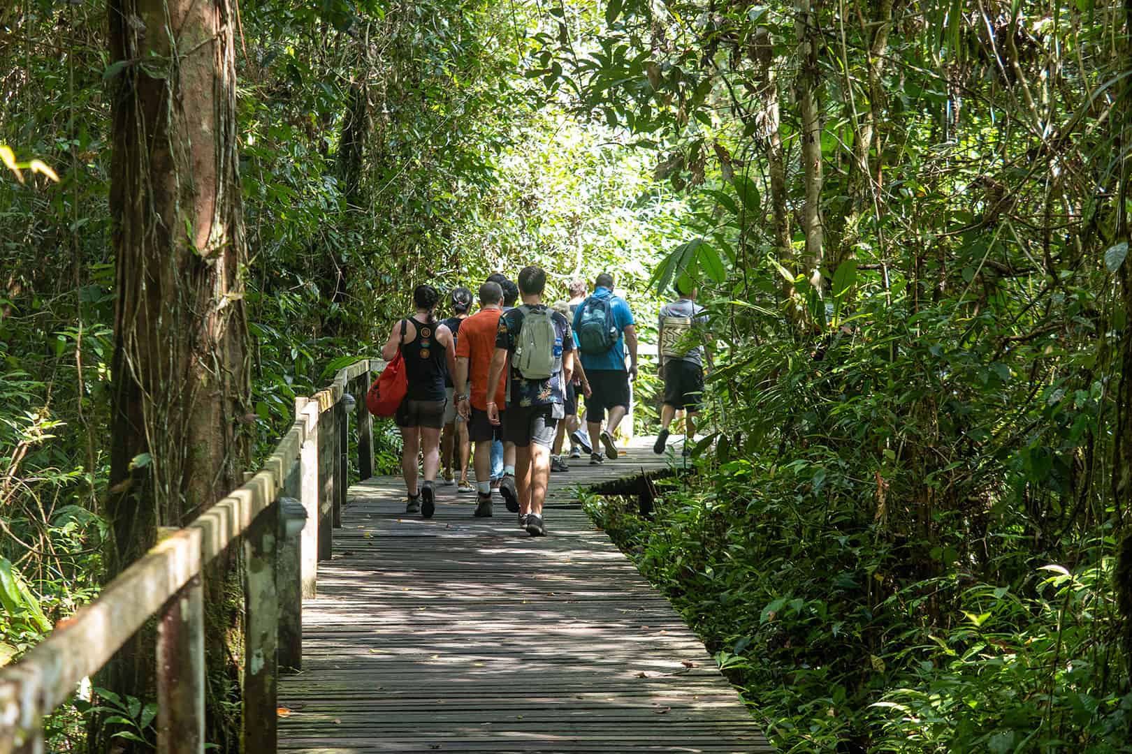 Wandelpaden bij Mulu National Park Wandelpaden bij Mulu National Park