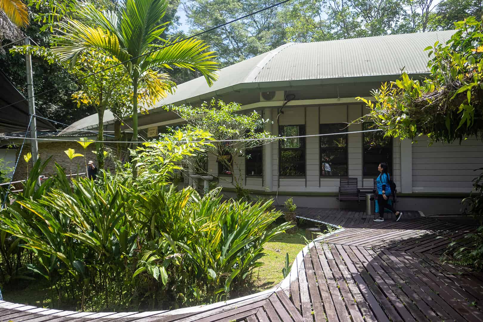 Mulu Park HQ Mulu Park HQ
