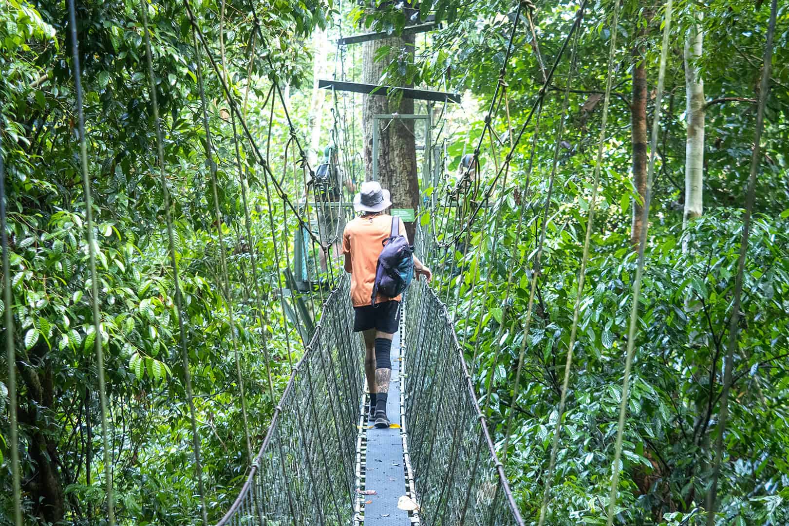 Canopy Walk Mulu National Park Canopy Walk Mulu National Park