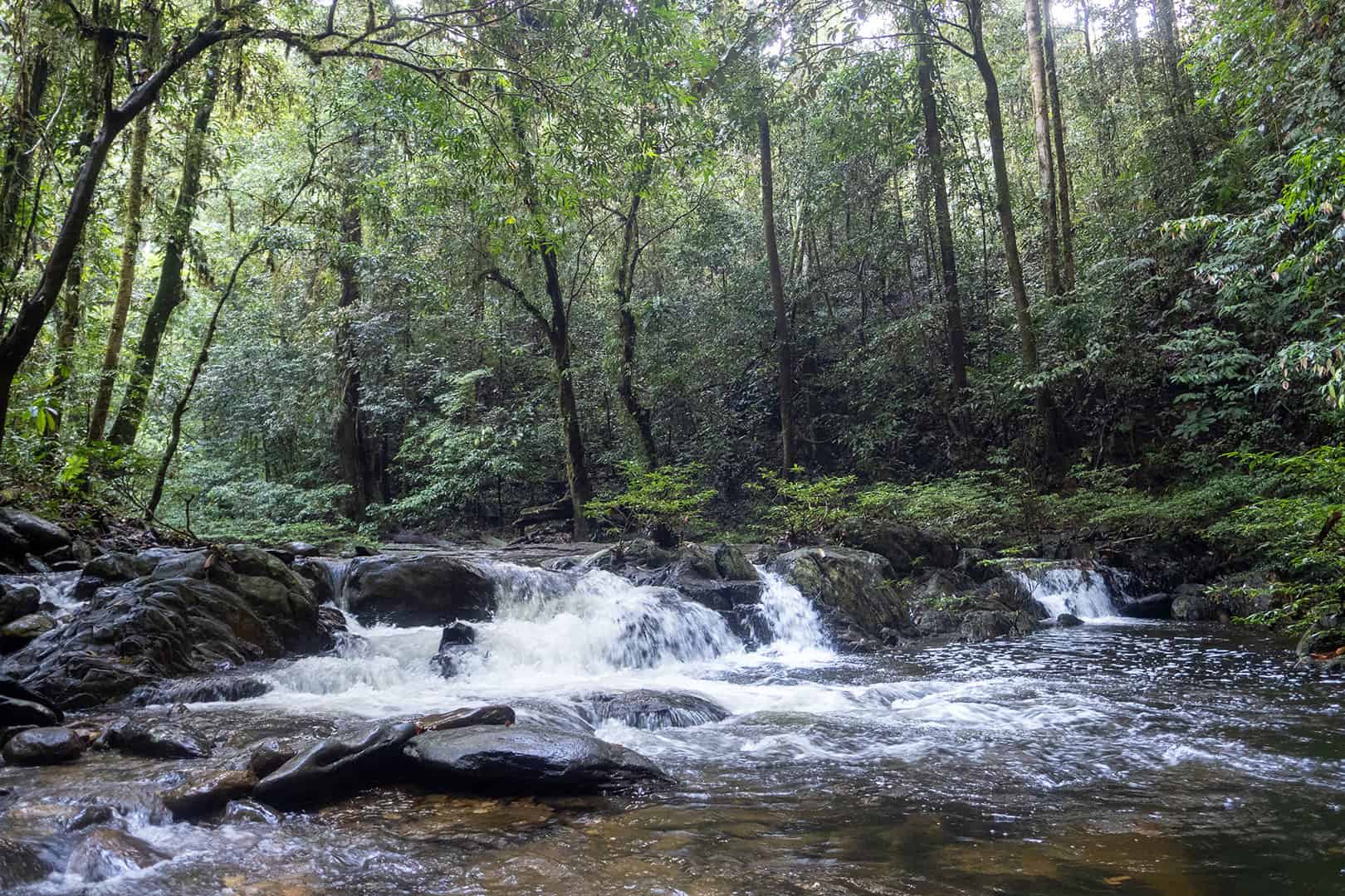 Rivier met kleine waterval Mulu Rivier met kleine waterval Mulu