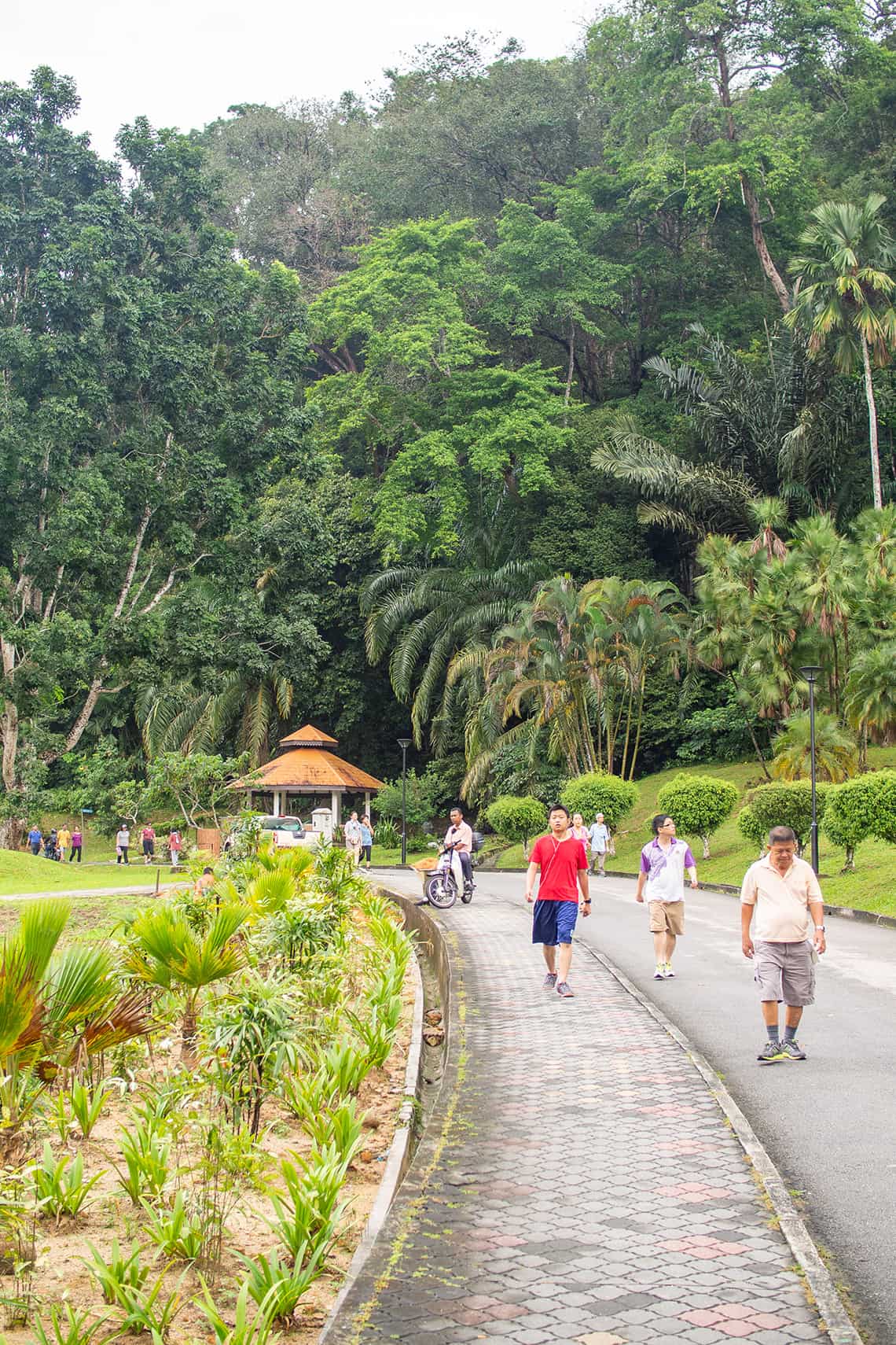 Botanische tuinen Penang