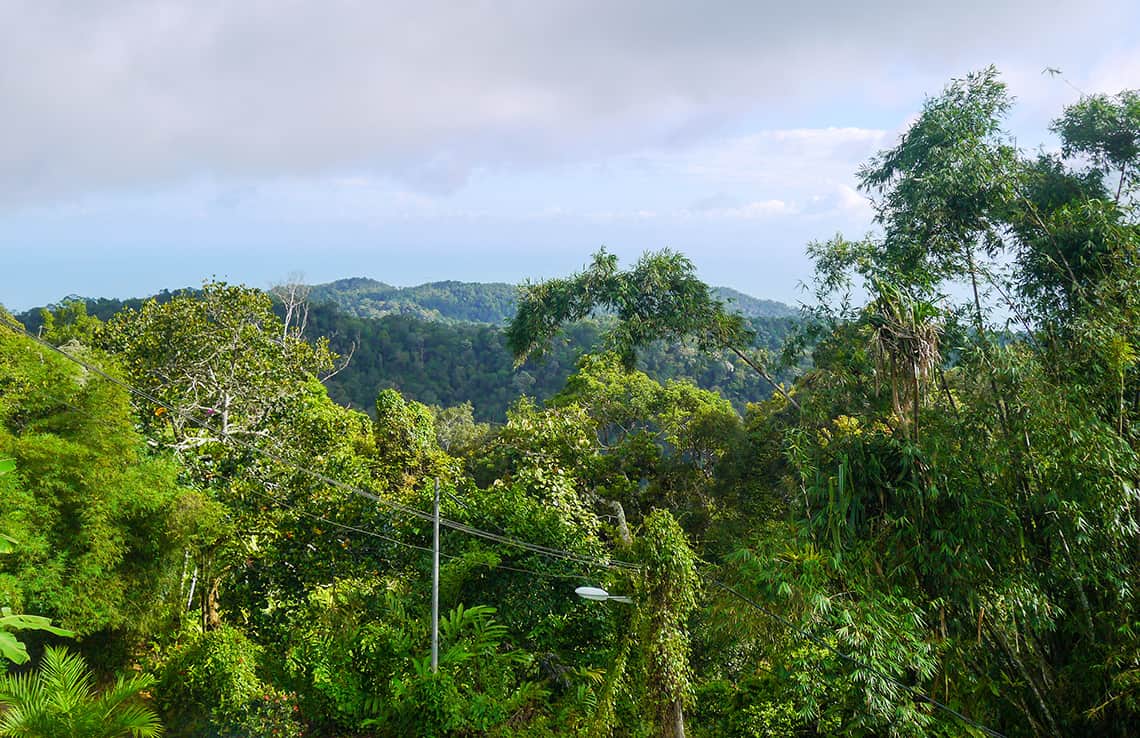 Bergen van Penang Hill