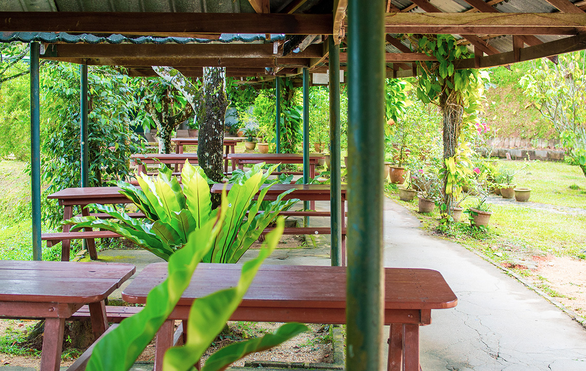 Penang Tropical Fruit Farm