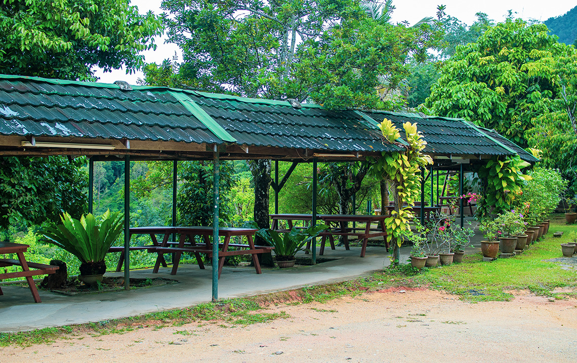 Penang Tropical Fruit Farm