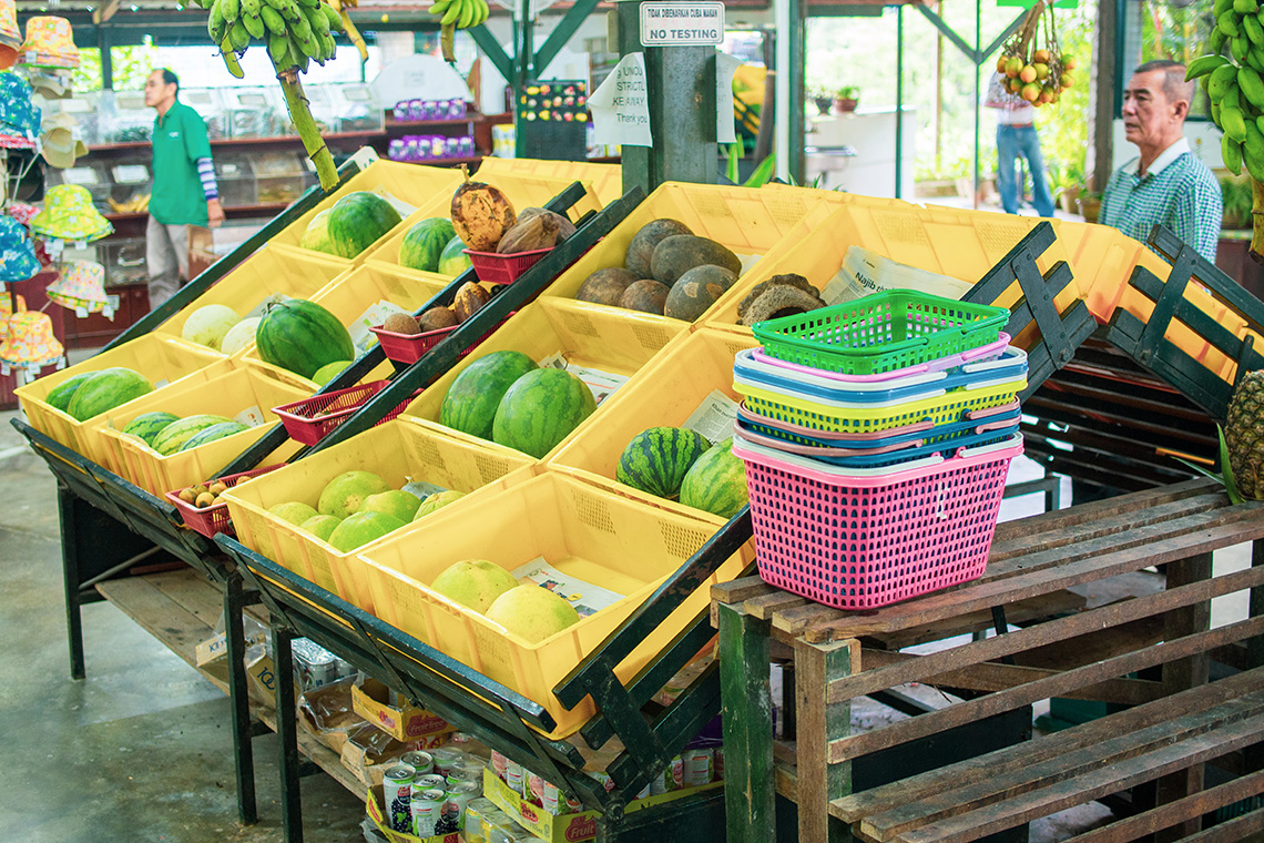 Penang Tropical Fruit Farm