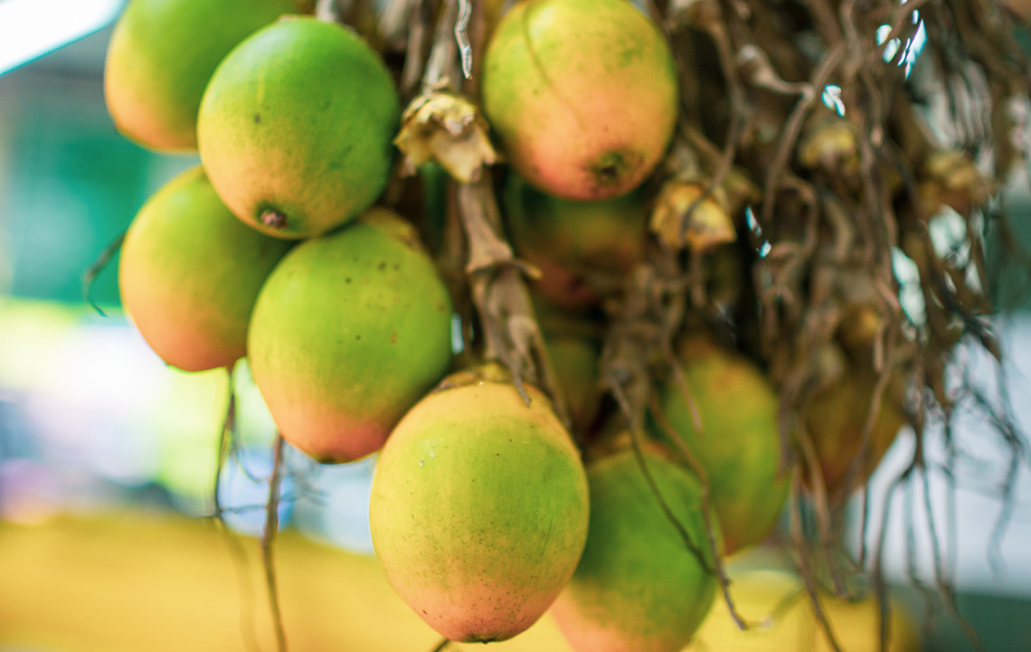 Penang Tropical Fruit Farm