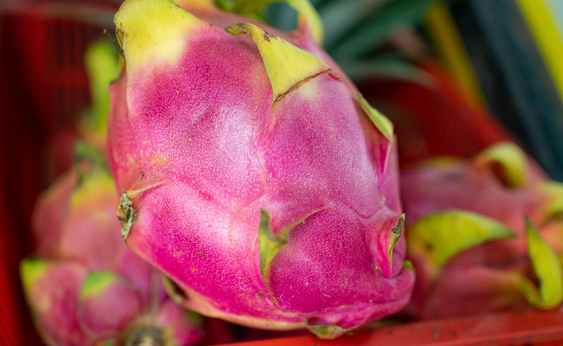 Penang Tropical Fruit Farm