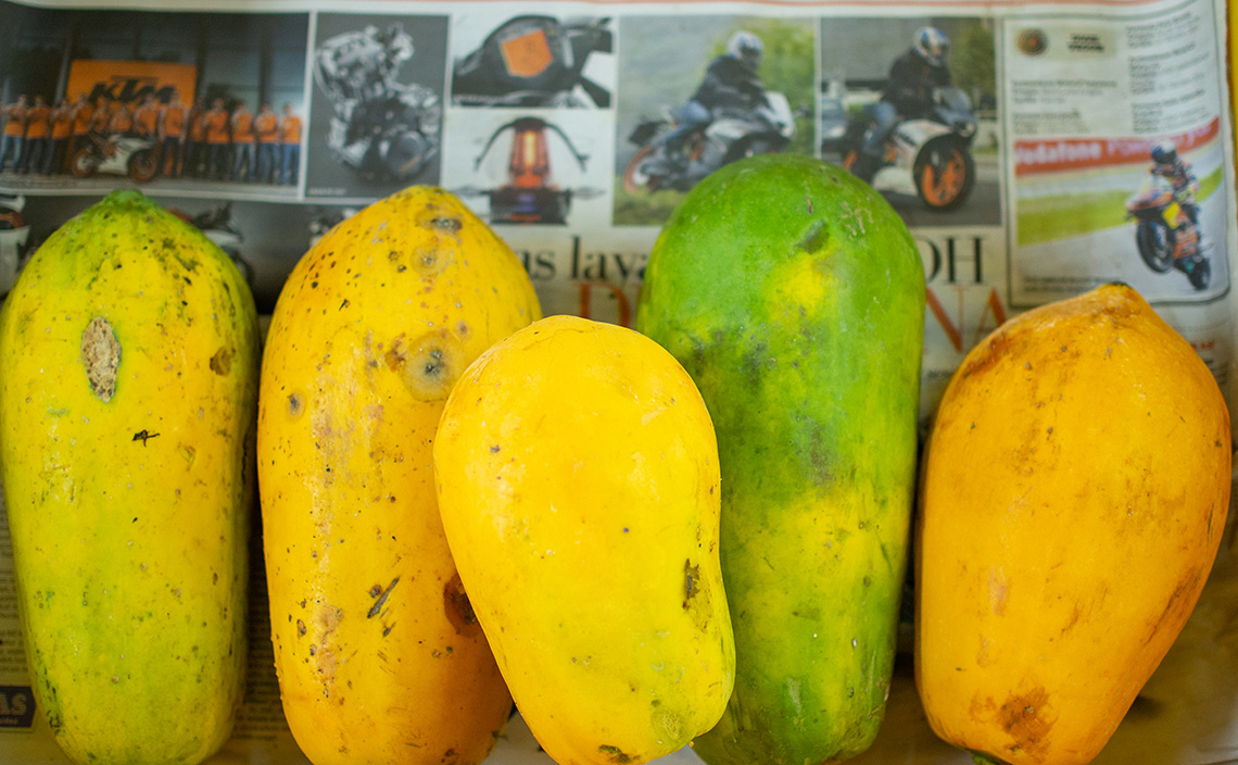 Penang Tropical Fruit Farm