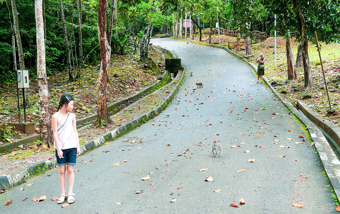 Seven Wells waterval op Langkawi