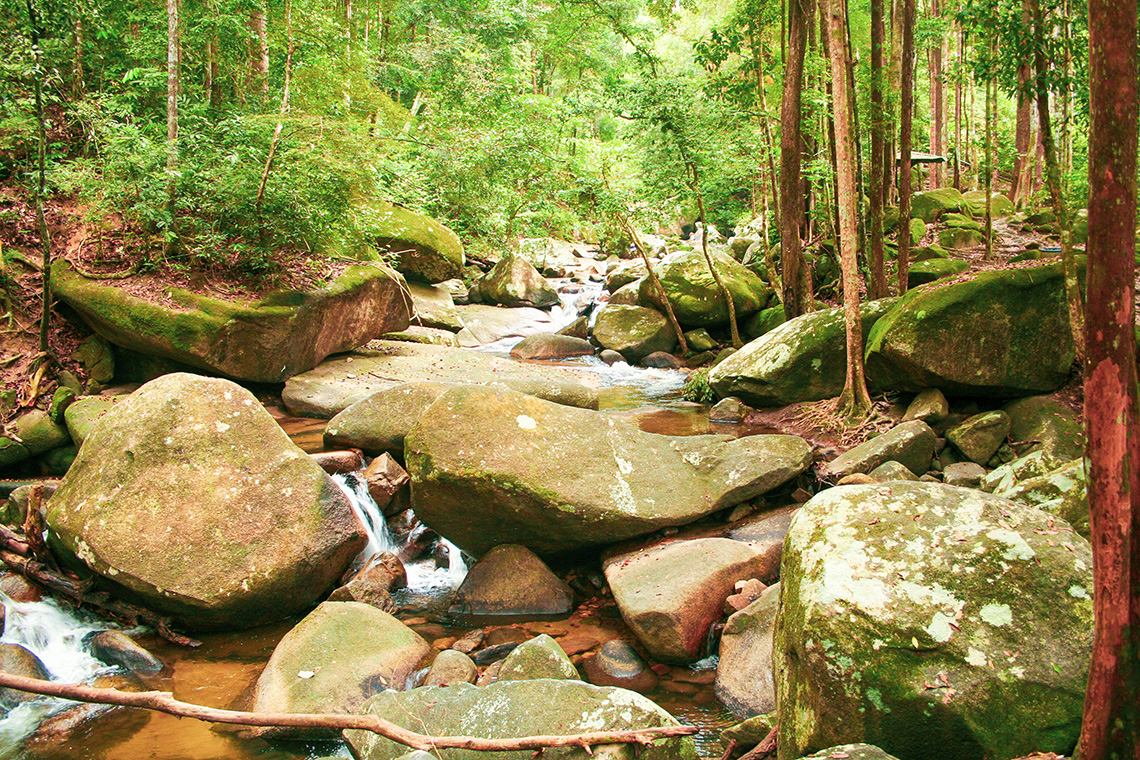 Gunung Ledang Nationaal Park