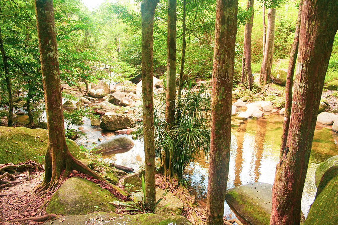 Gunung Ledang Nationaal Park