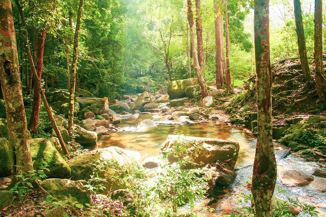 Gunung Ledang Nationaal Park