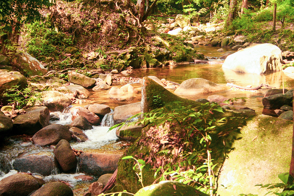 Gunung Ledang Nationaal Park