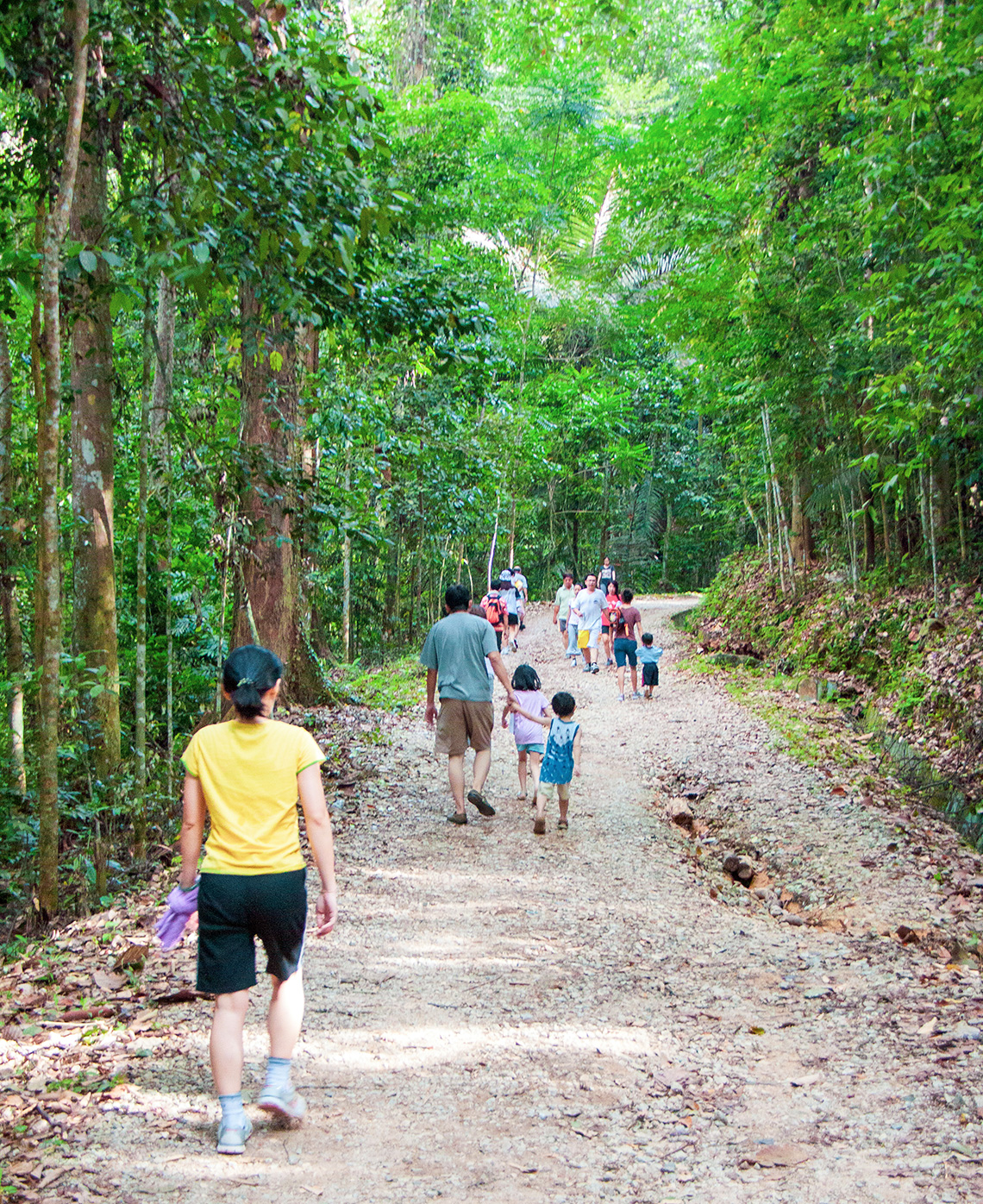 FRIM natuurpark