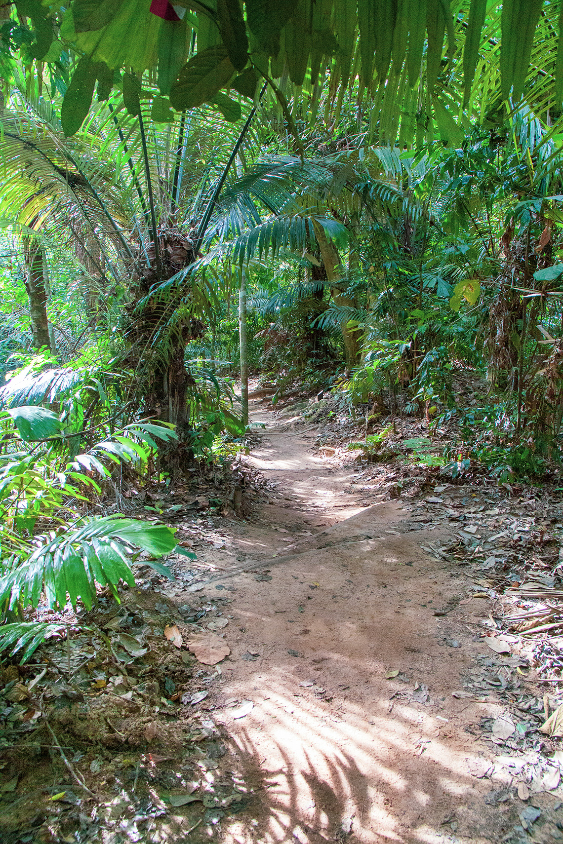 FRIM natuurpark