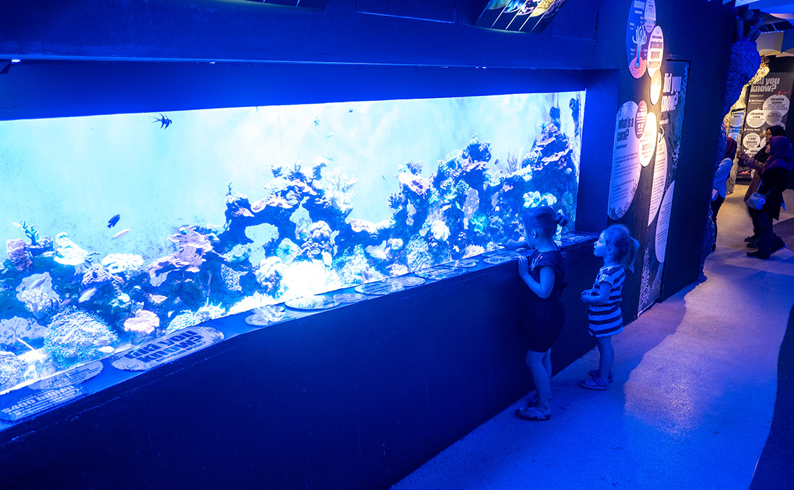 Aquaria KLCC in Kuala Lumpur