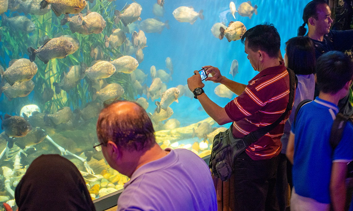 Aquaria KLCC in Kuala Lumpur