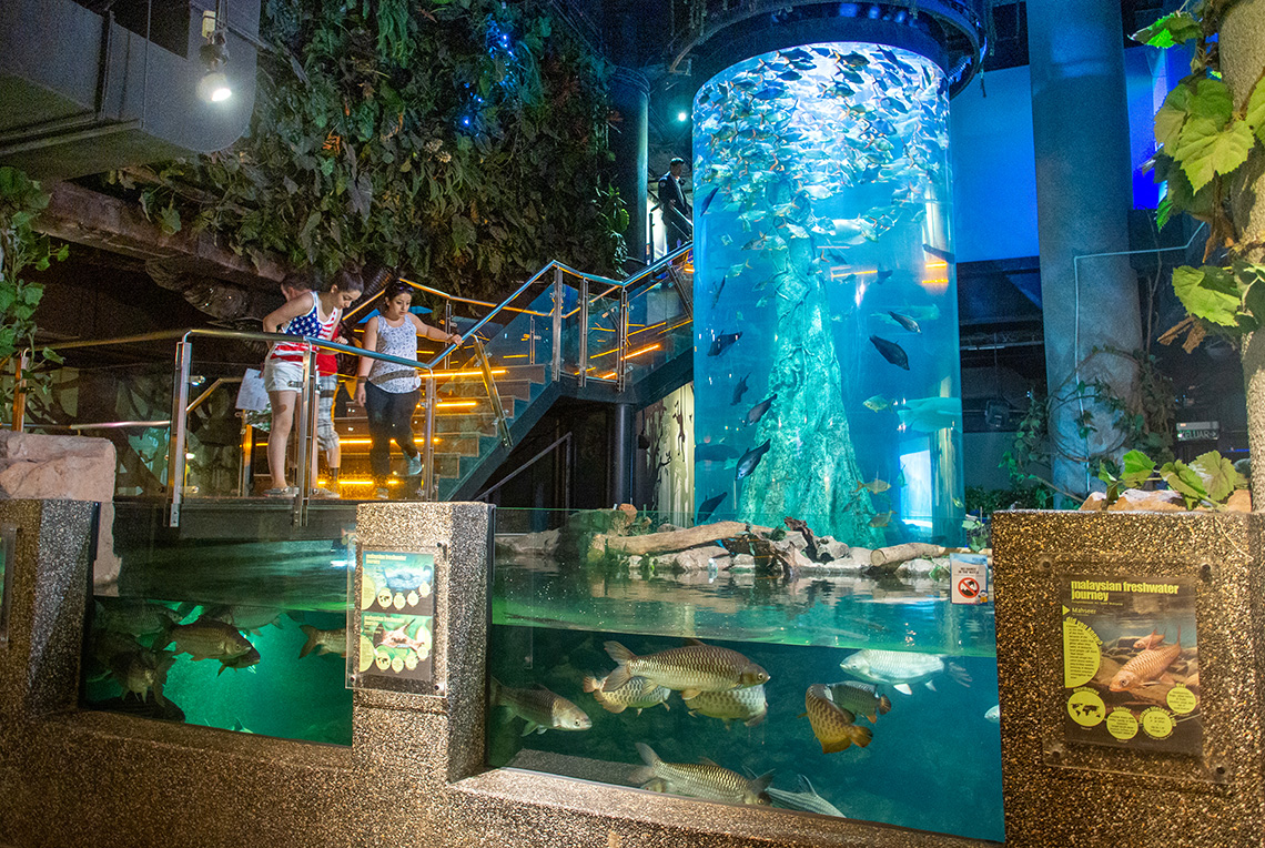 Aquaria KLCC in Kuala Lumpur