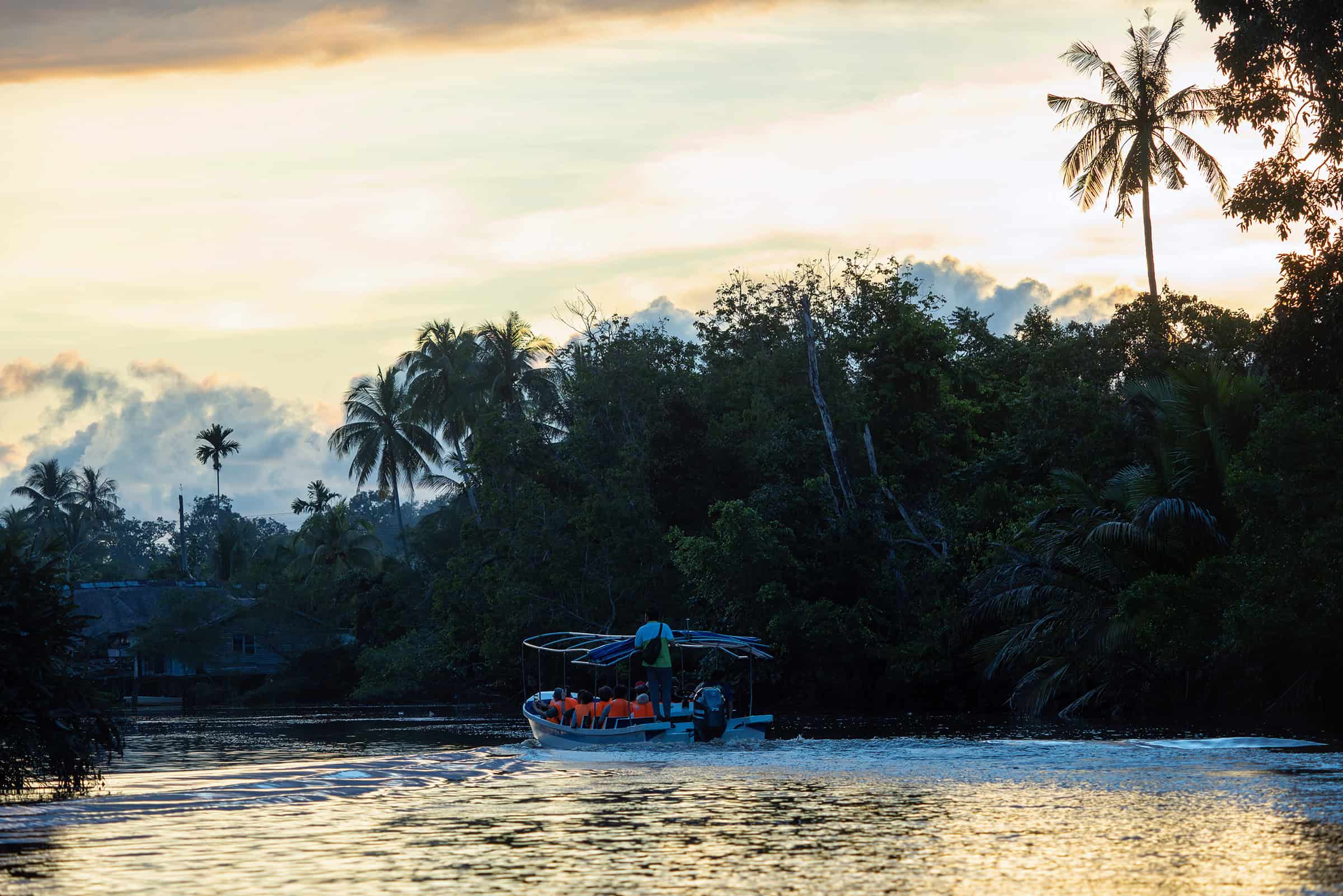 Klias Wetlands Rivercruise in Sabah