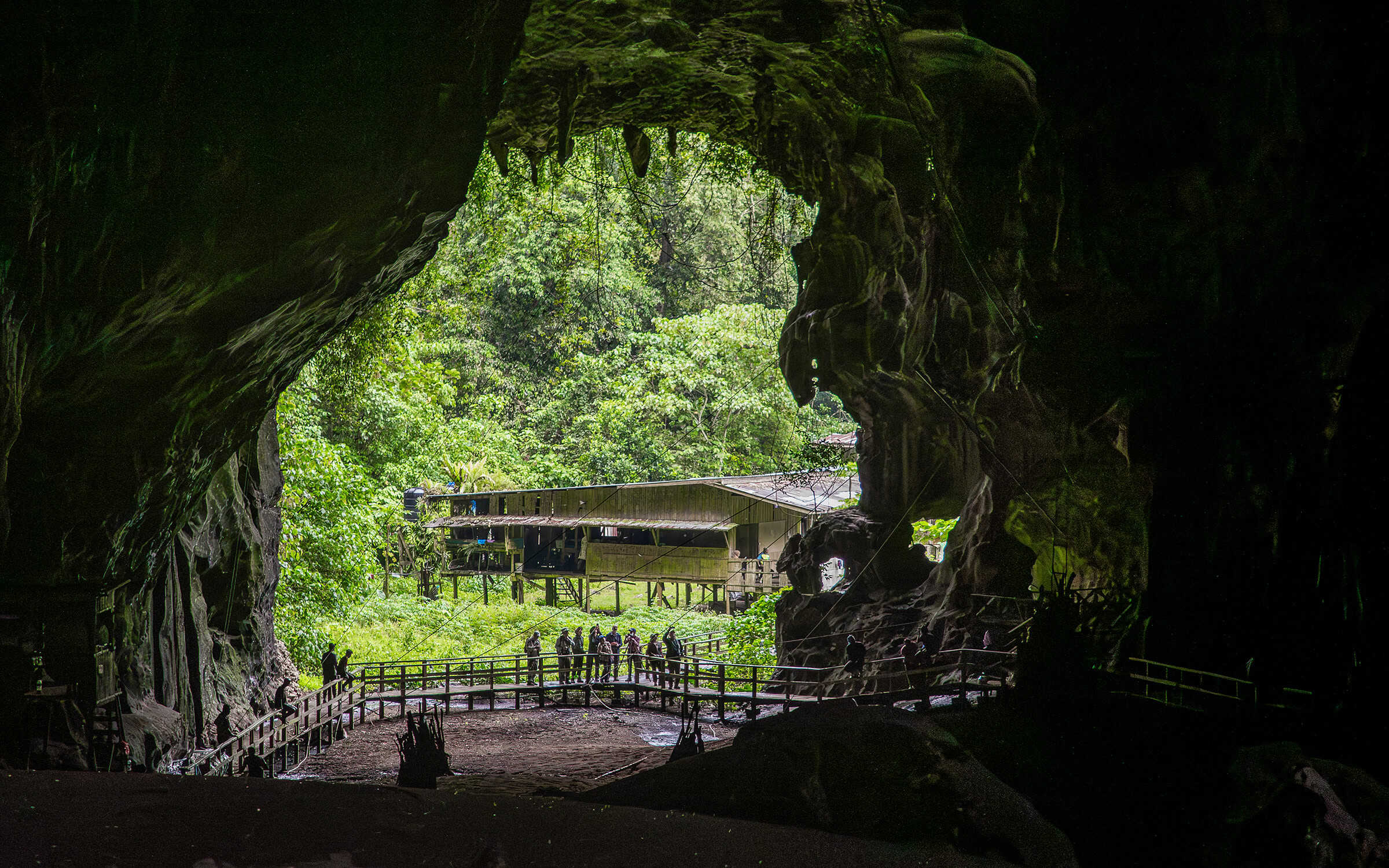 Gomantong Caves in Sabah