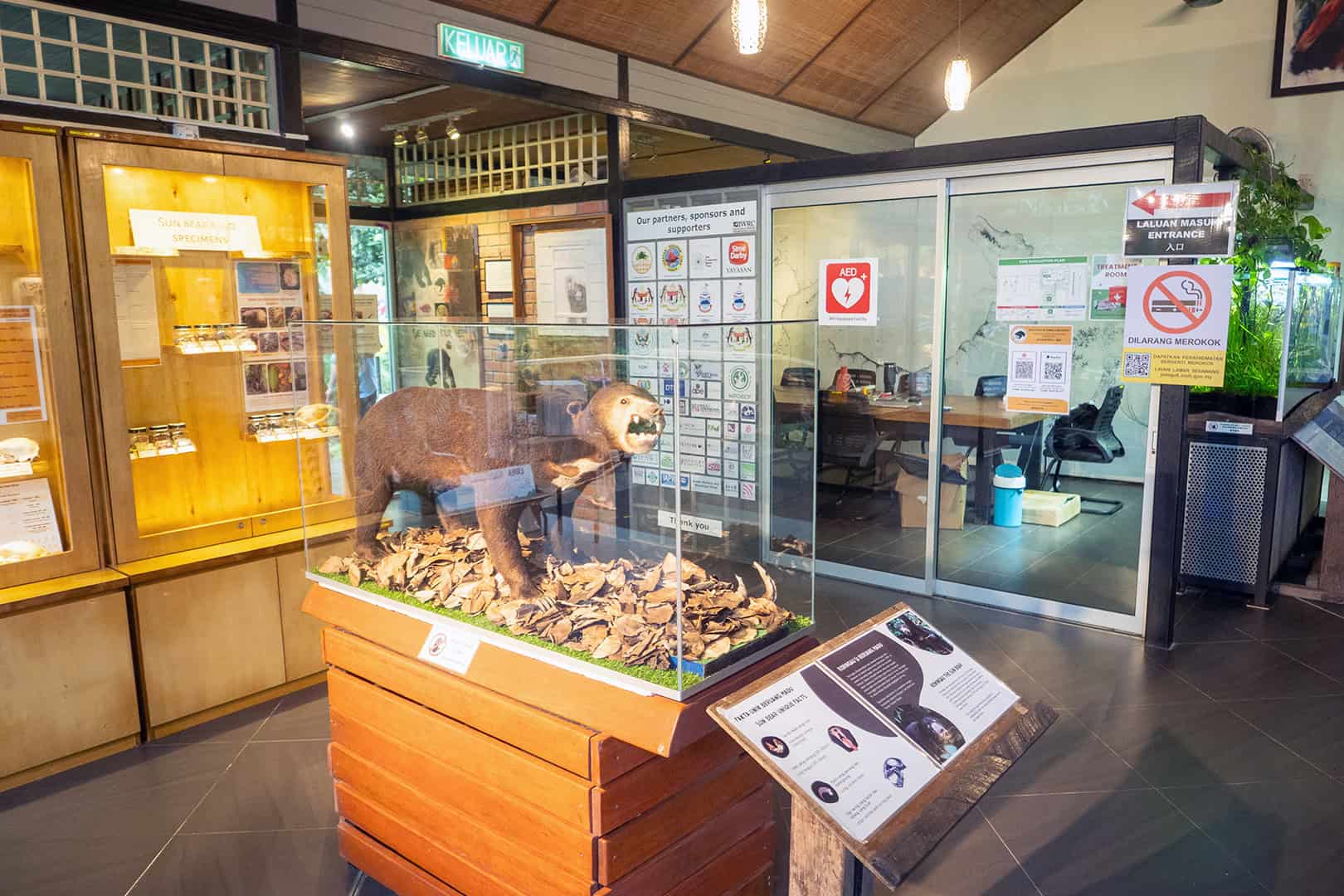 Gallery at the Bornean Sun Bear Conservation Centre (BSBCC)