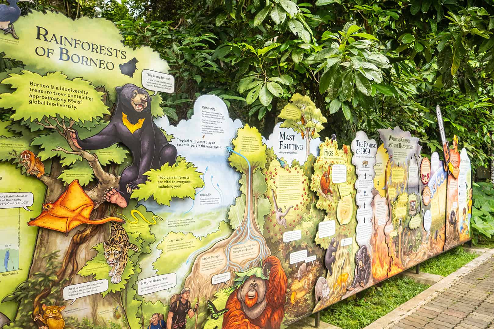 Explanation Bornean Sun Bear Conservation Centre (BSBCC)
