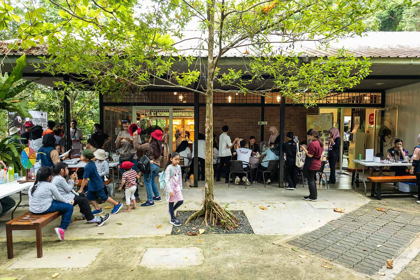 Central area at the Bornean Sun Bear Conservation Centre (BSBCC)