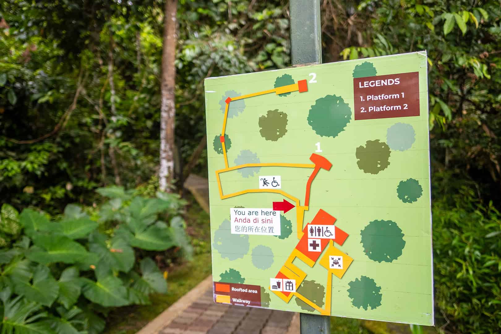 Plan of the Bornean Sun Bear Conservation Centre (BSBCC)