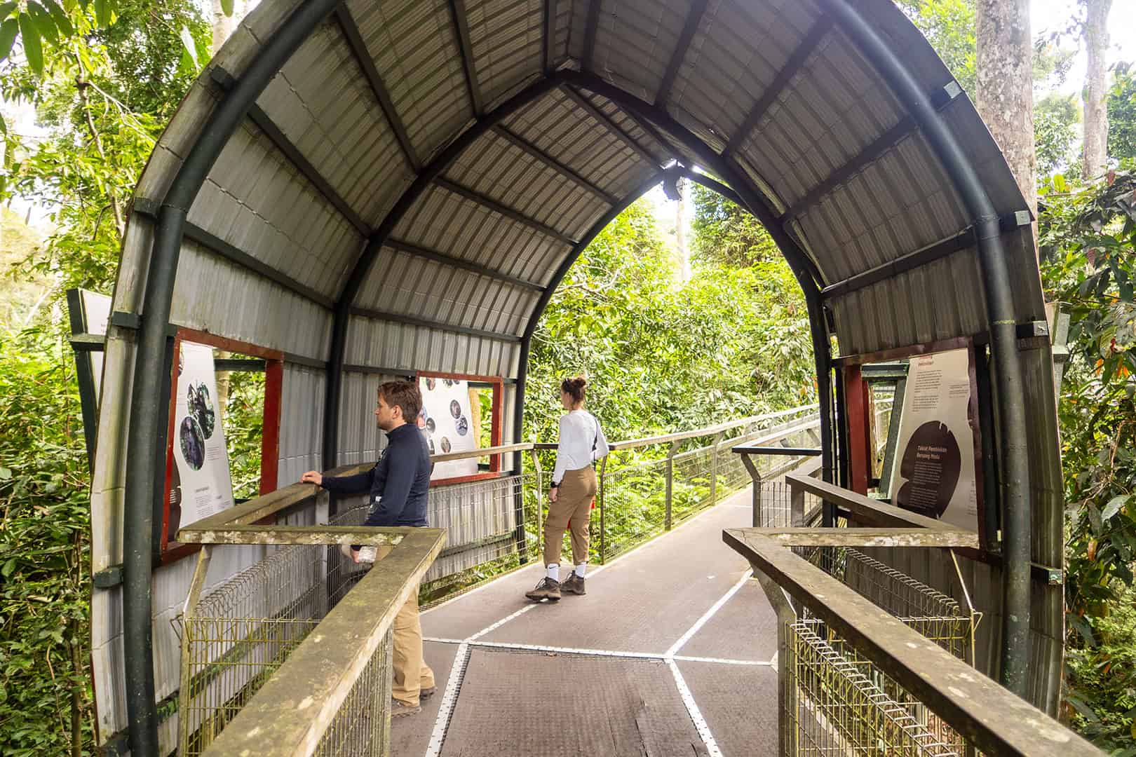 Information Bornean Sun Bear Conservation Centre (BSBCC)