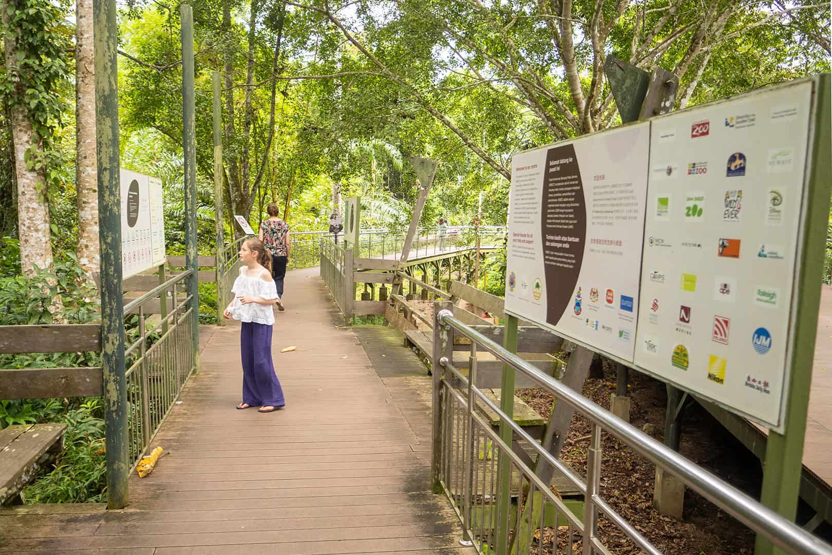 Bornean Sun Bear Conservation Centre (BSBCC)