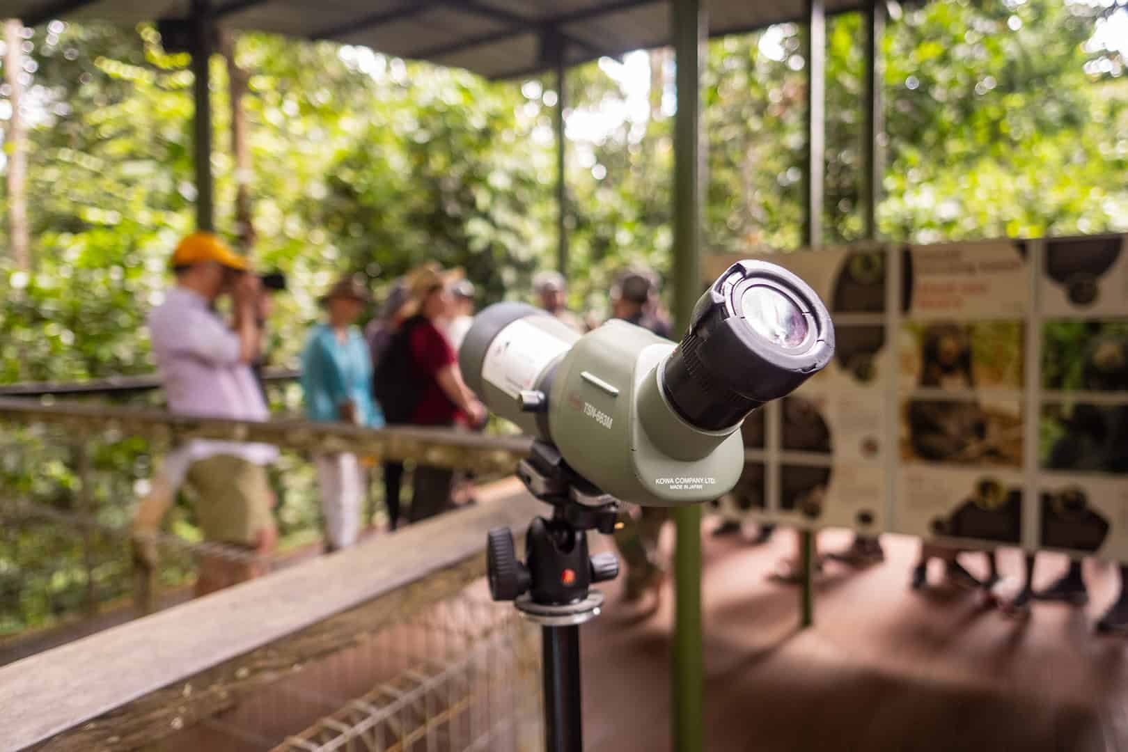 Binoculars at the Bornean Sun Bear Conservation Centre (BSBCC)