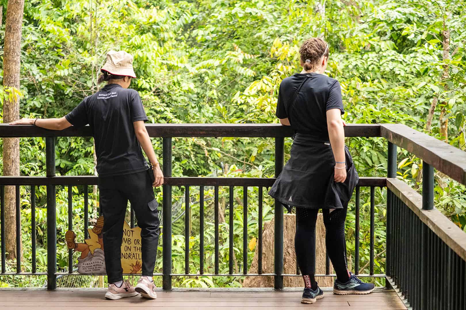 People looking for Sun Bears