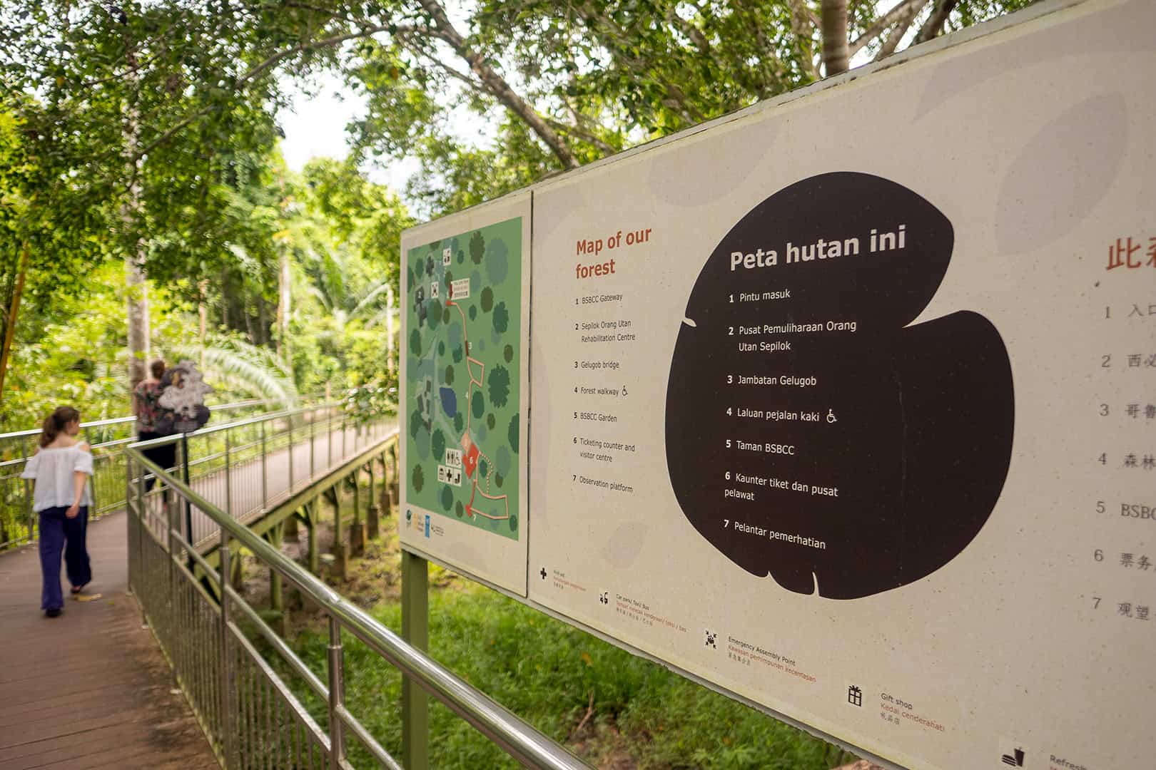 Bornean Sun Bear Conservation Centre (BSBCC)
