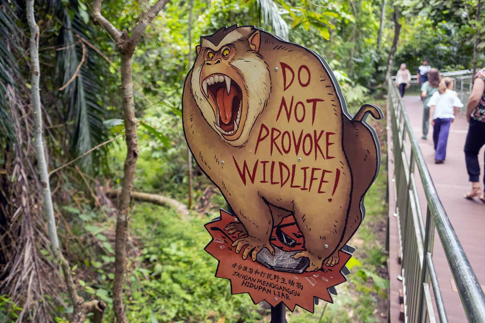 Bornean Sun Bear Conservation Centre (BSBCC)