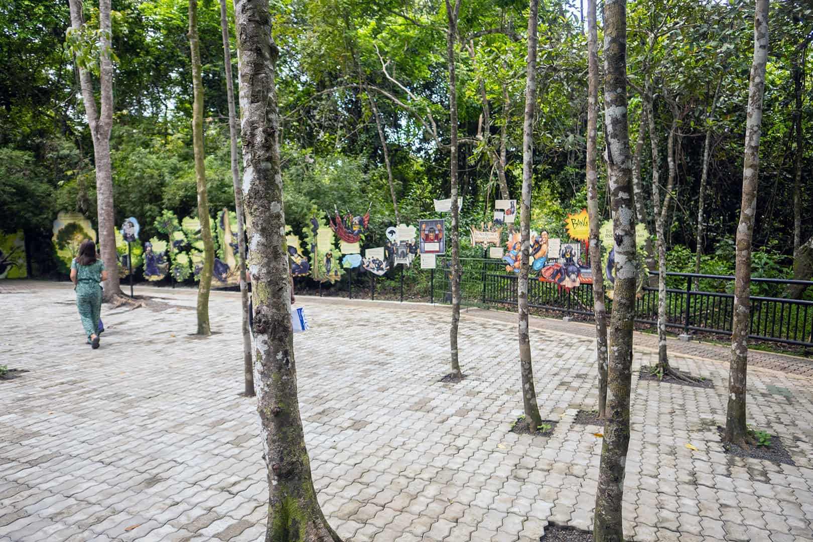 Bornean Sun Bear Conservation Centre (BSBCC)