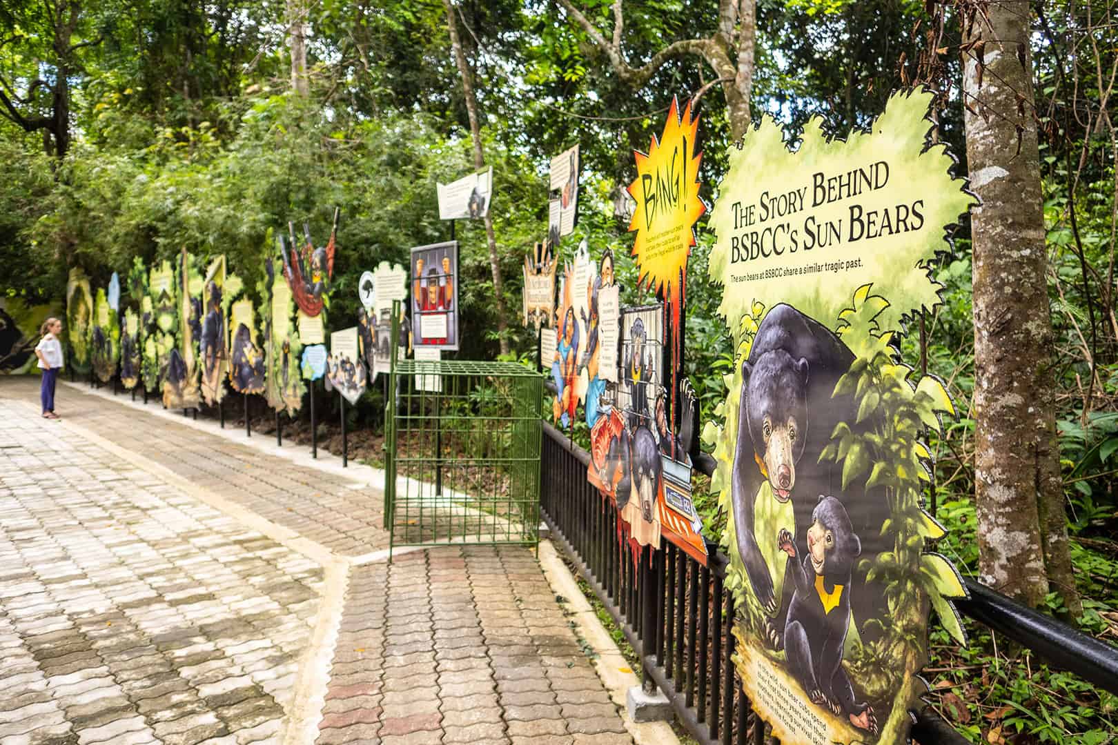 Bornean Sun Bear Conservation Centre (BSBCC)