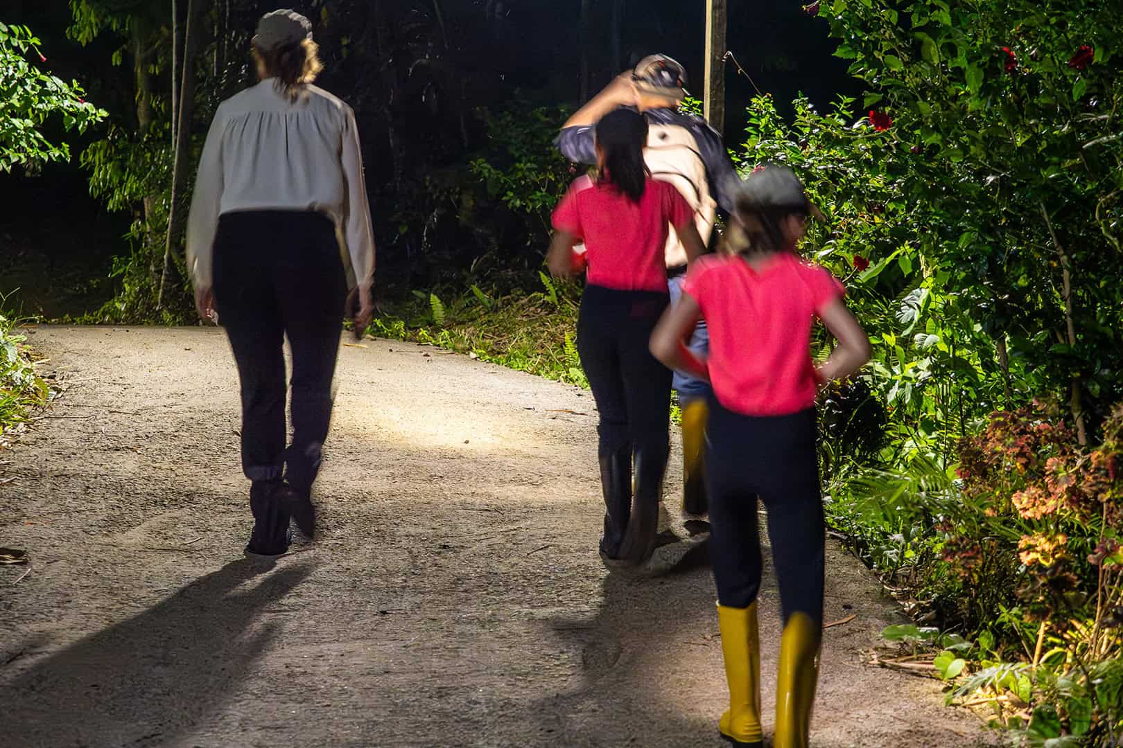 Op avontuur in Kinabalu National Park