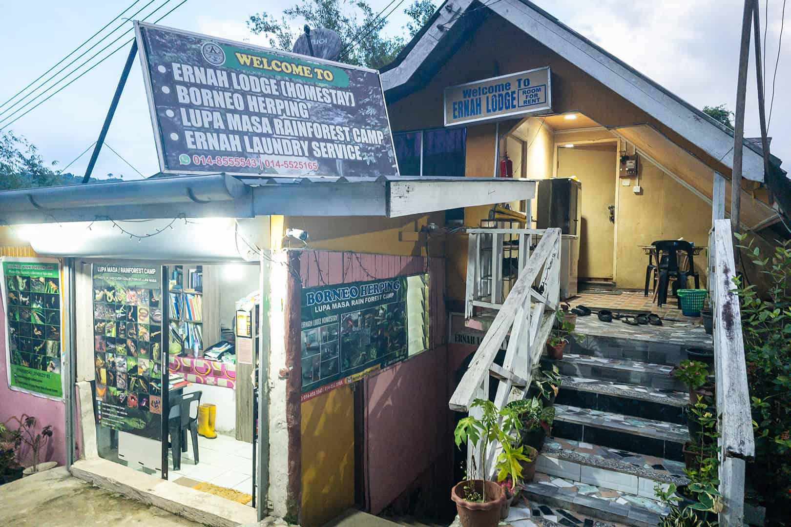 Borneo Herping Tour Office in Kinabalu National Park