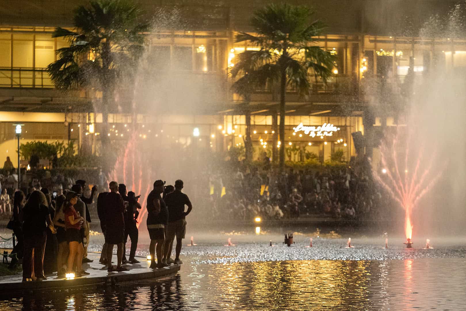People enjoying the show
