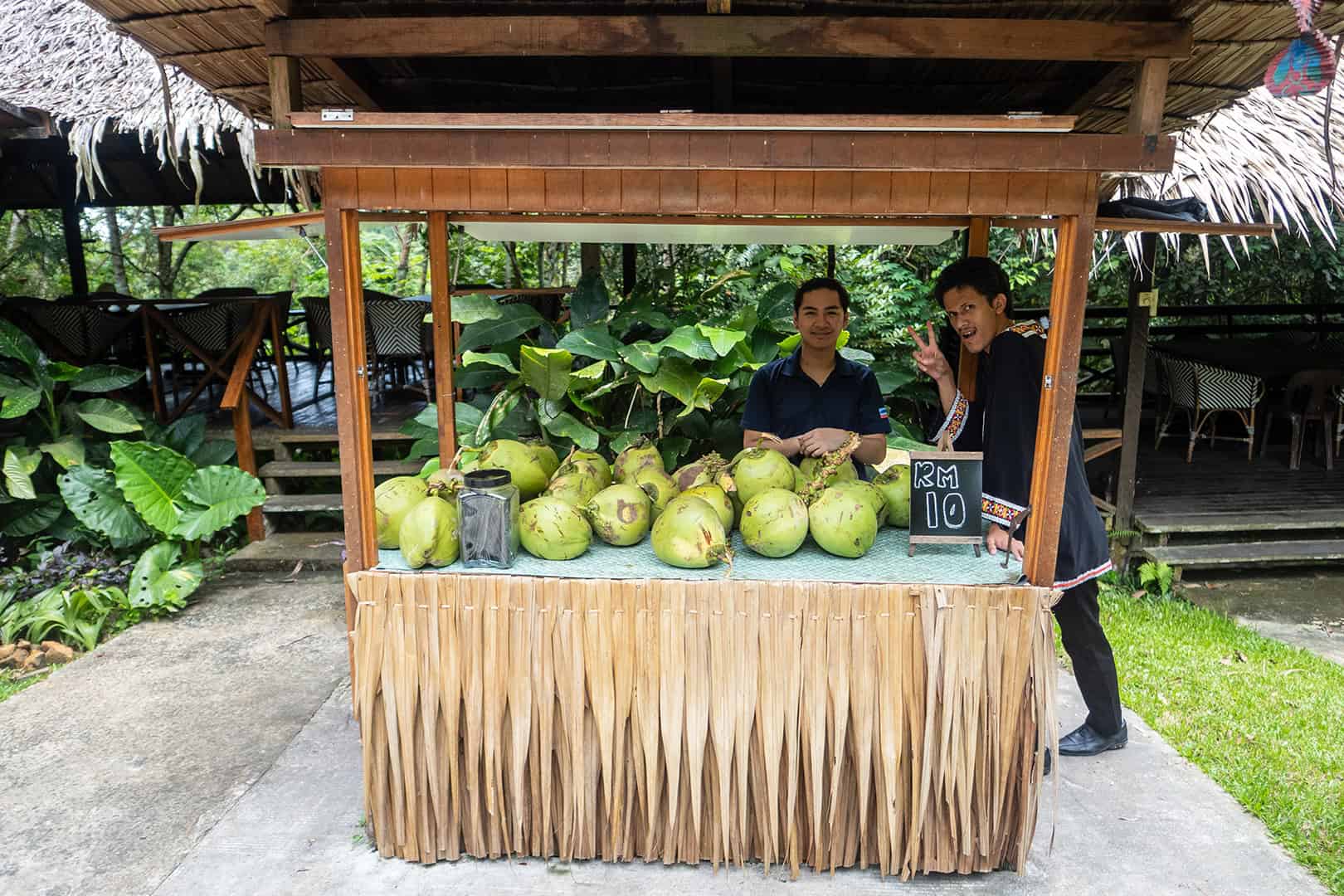 Kokoswater bij Mari Mari Cultural Village (Kota Kinabalu)]