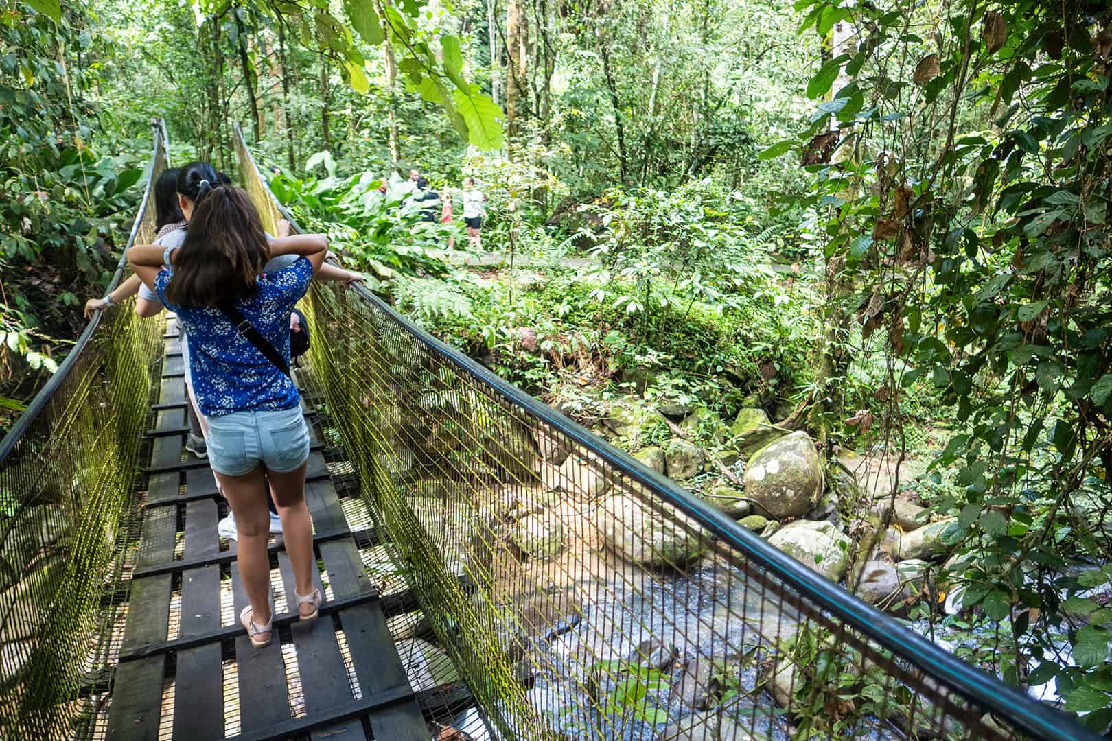 Kleine Canopy Walk bij Mari Mari Cultural Village (Kota Kinabalu)