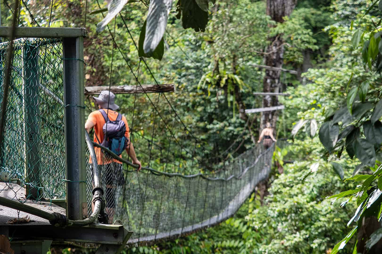 Mulu Canopy Skywalk