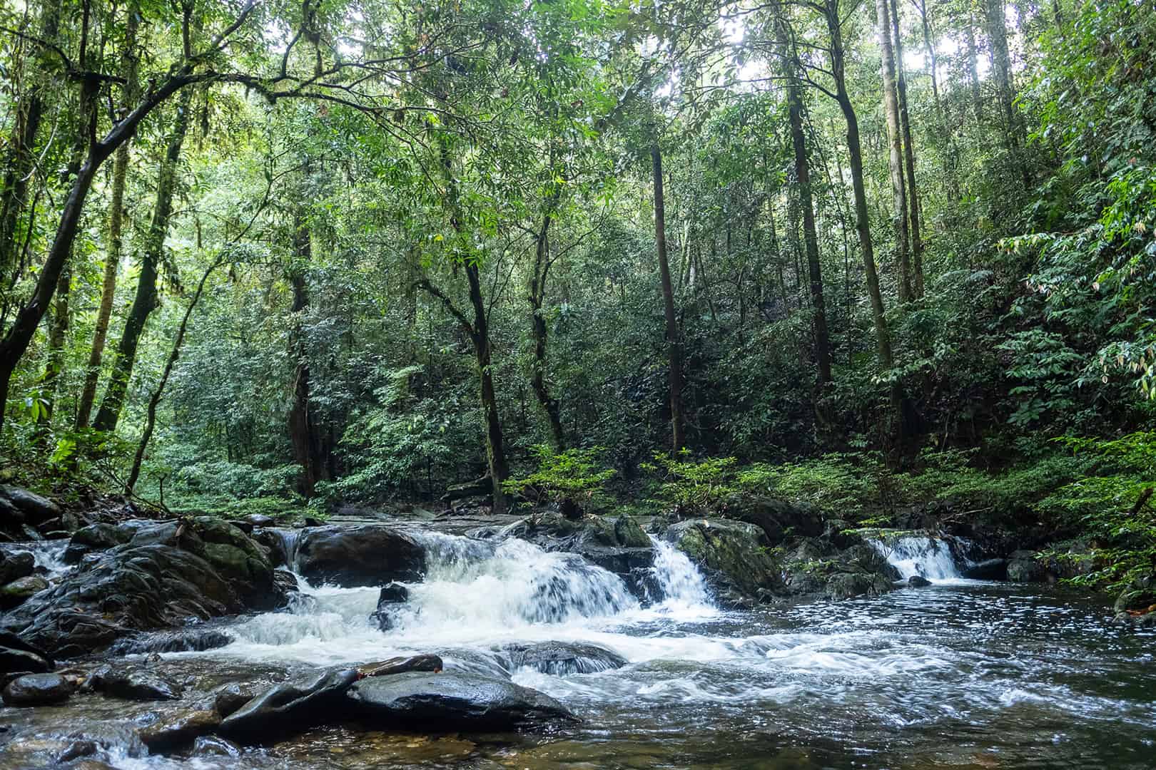 Long Langsat River Walk
