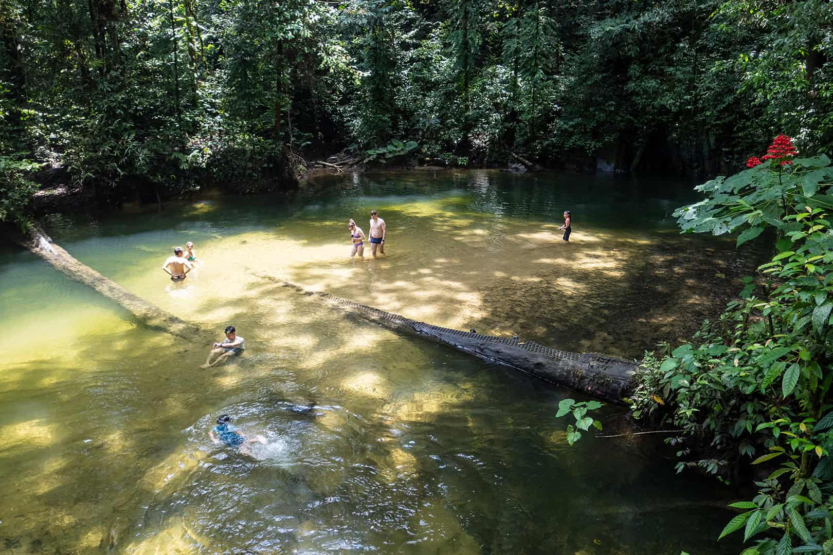 Zwemmen in junglewater bij Clearwater Cave