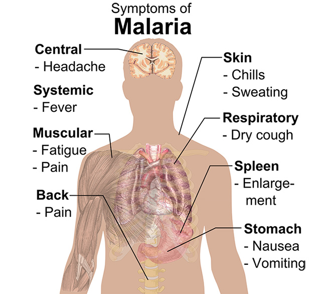 malaria-risico-in-maleisie-1