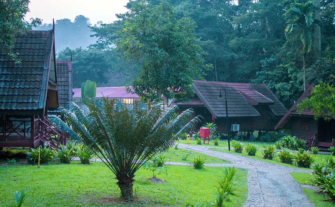 Mutiara Taman Negara Resort