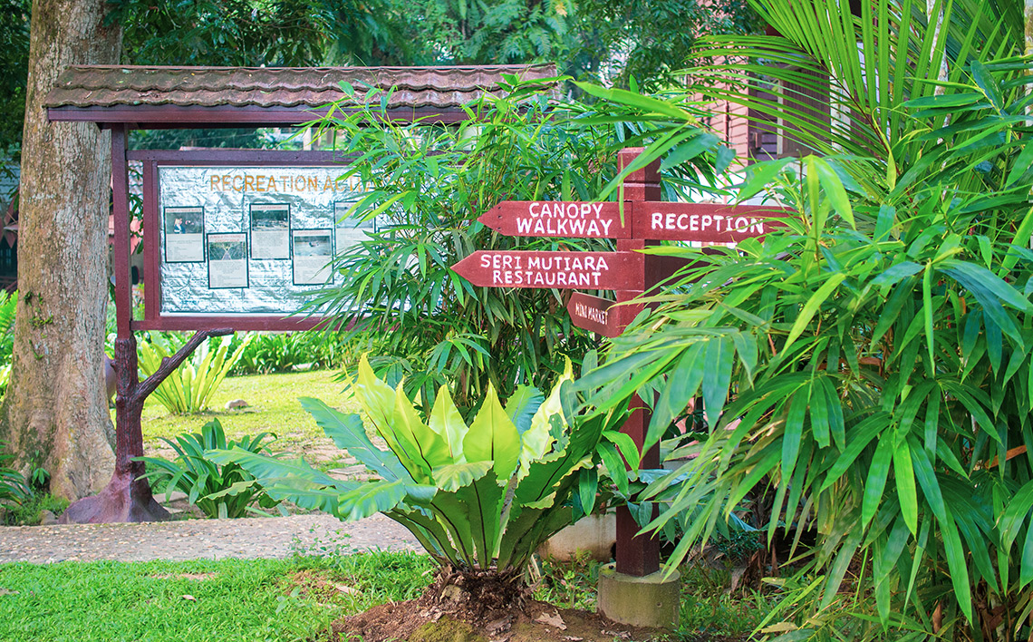 Mutiara Taman Negara Resort