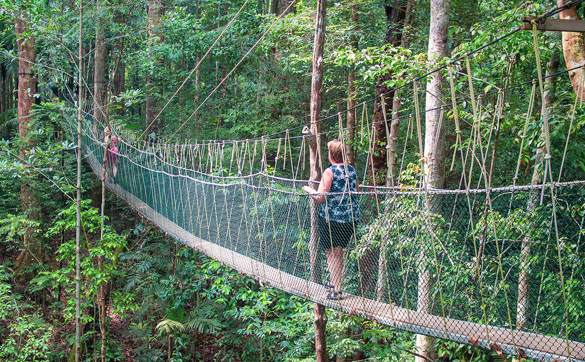 Taman Negara Canopy Walk