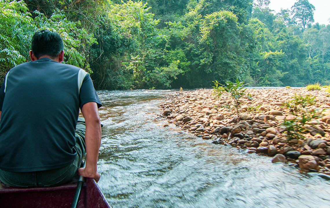 Taman Negara River Cruise